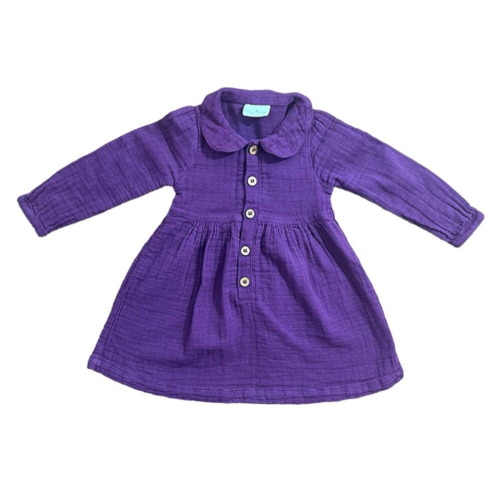 City Mouse Dress - 18-24M